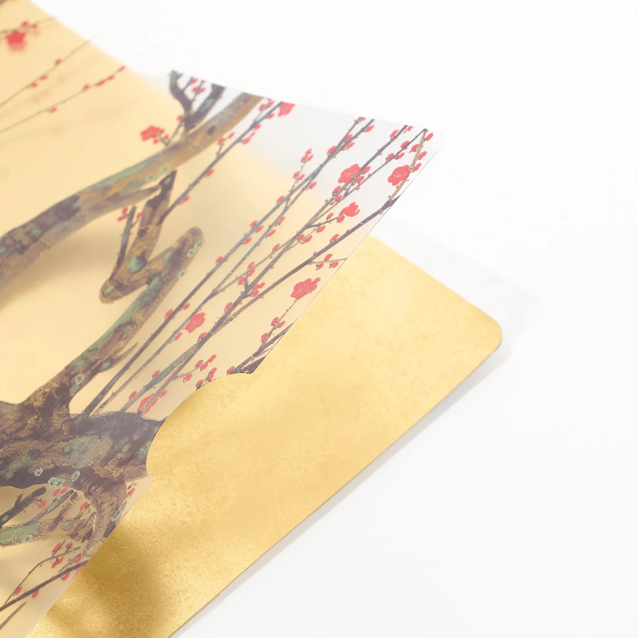 Red and White Plum Blossoms Gold Leaf A4 Clear File / Benrido - Image 3