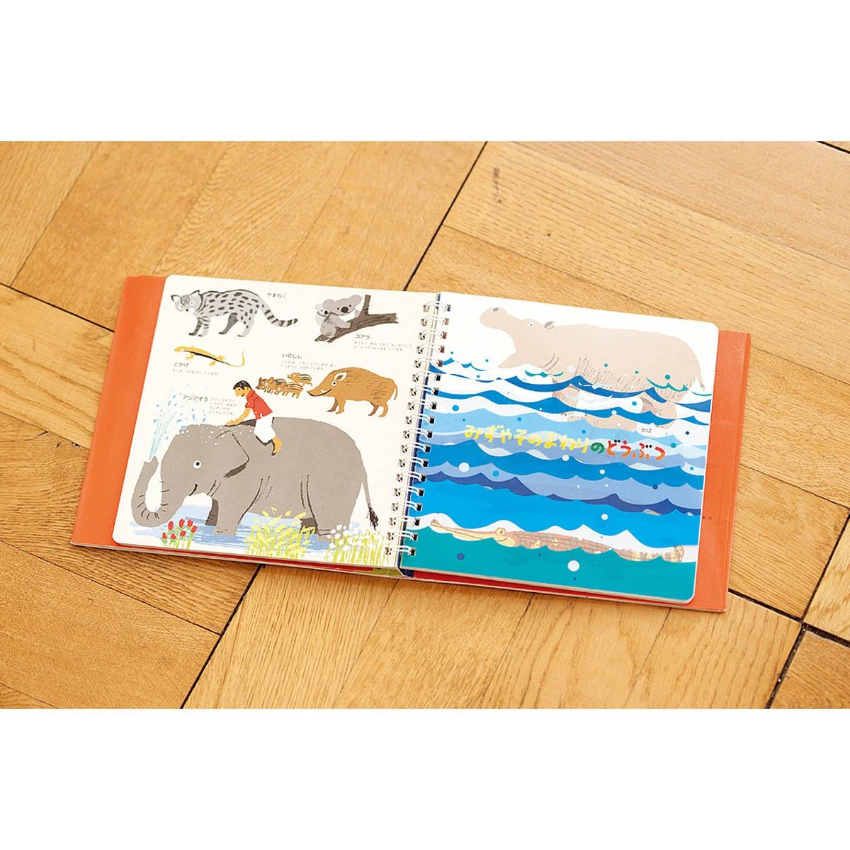 Hajimete Zukan Animals 1 Picture Book / KOKUYO - Image 3
