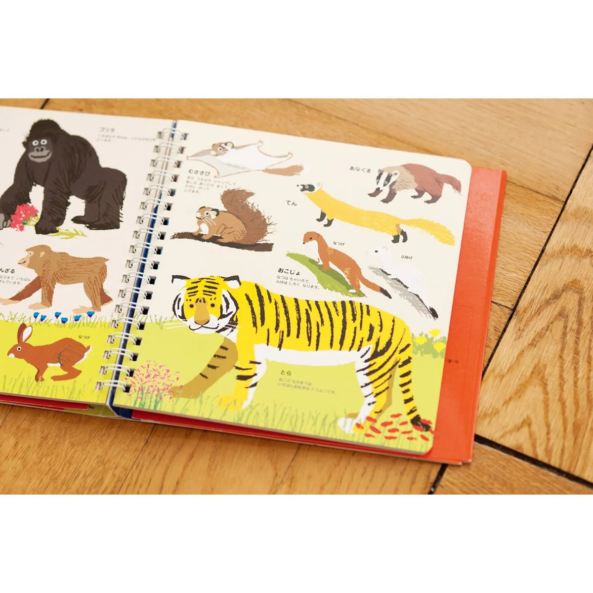 Hajimete Zukan Animals 1 Picture Book / KOKUYO - Image 4