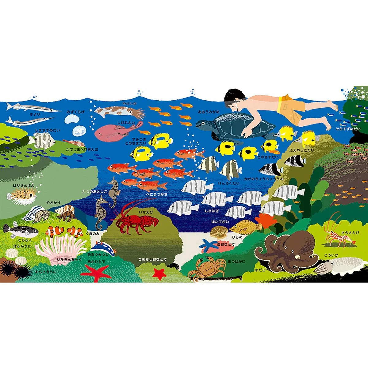 Hajimete Zukan Animals 2 Picture Book / KOKUYO - Image 3