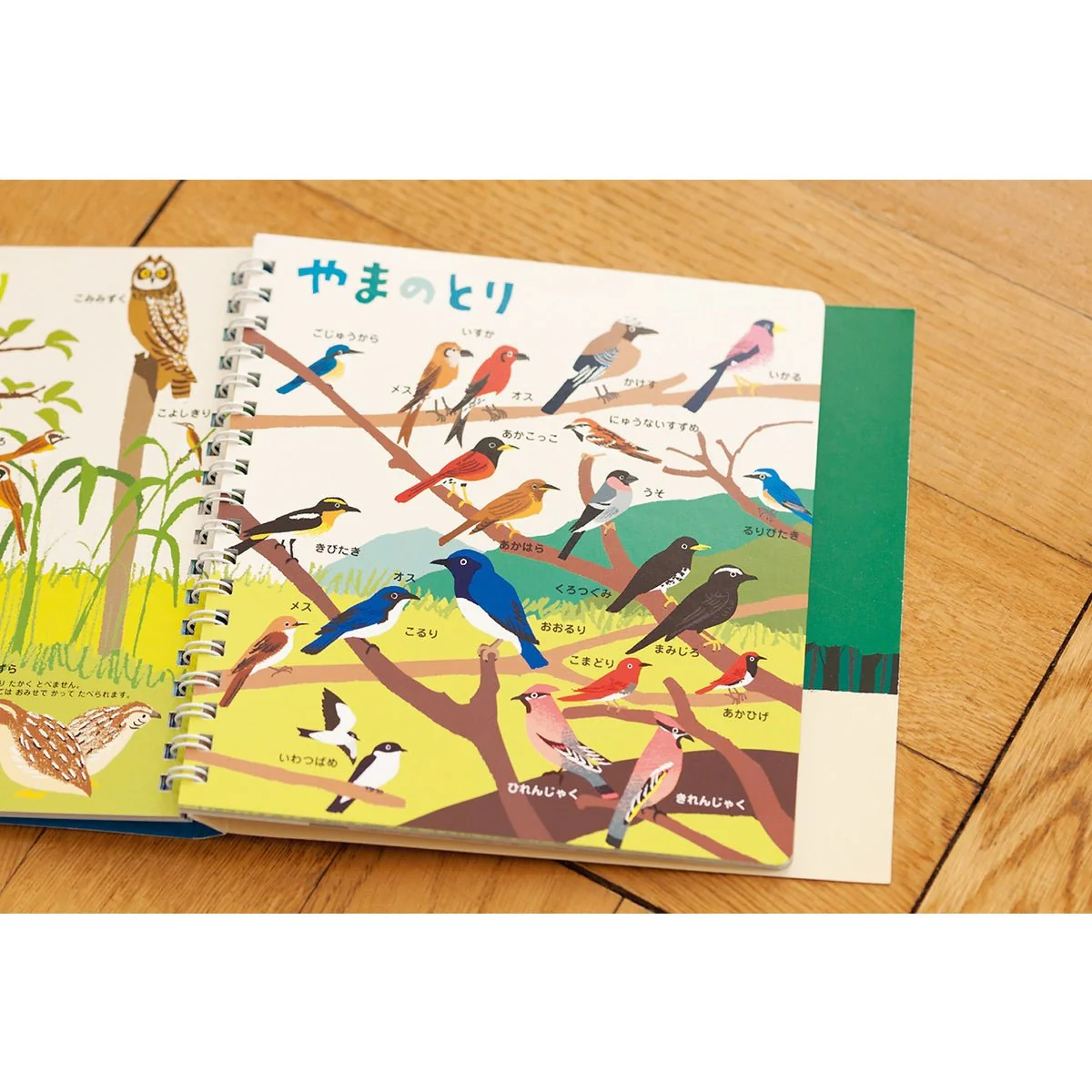 Hajimete Zukan Animals 2 Picture Book / KOKUYO - Image 4
