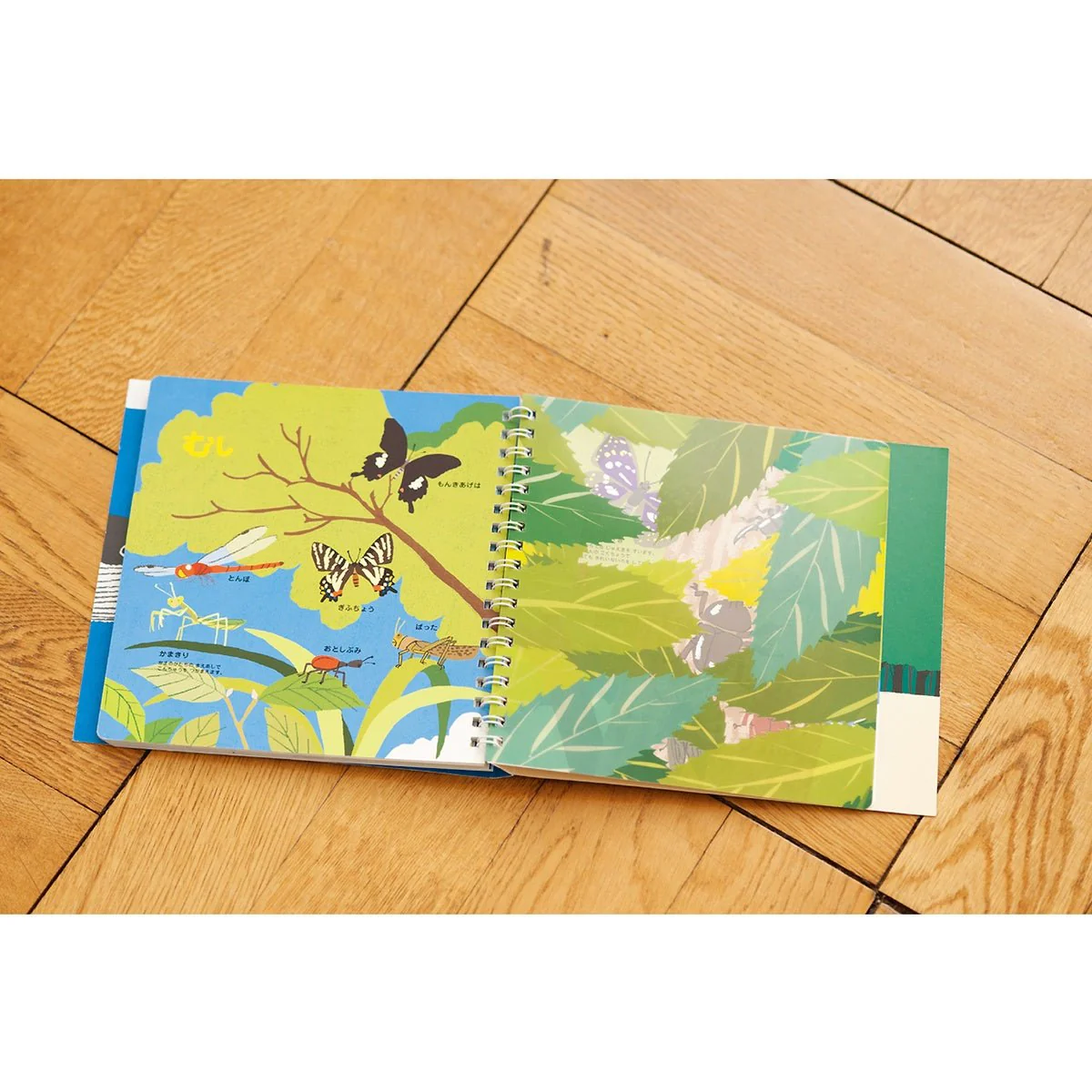 Hajimete Zukan Animals 2 Picture Book / KOKUYO - Image 5