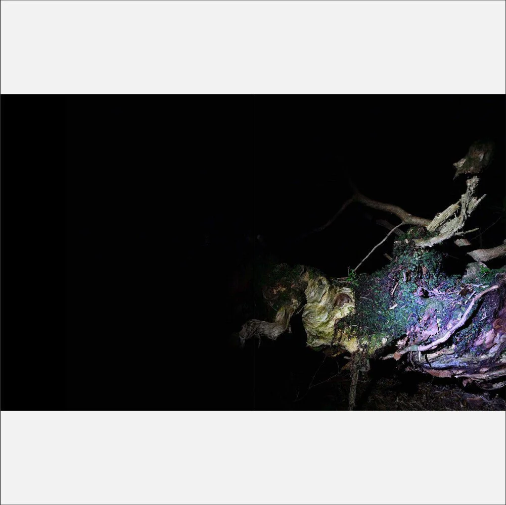 Jinen Photography Book / Seigensha - Image 5