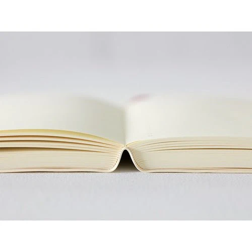 MD Notebook Diary 1 Day 1 Page 2026 / MIDORI - Image 14