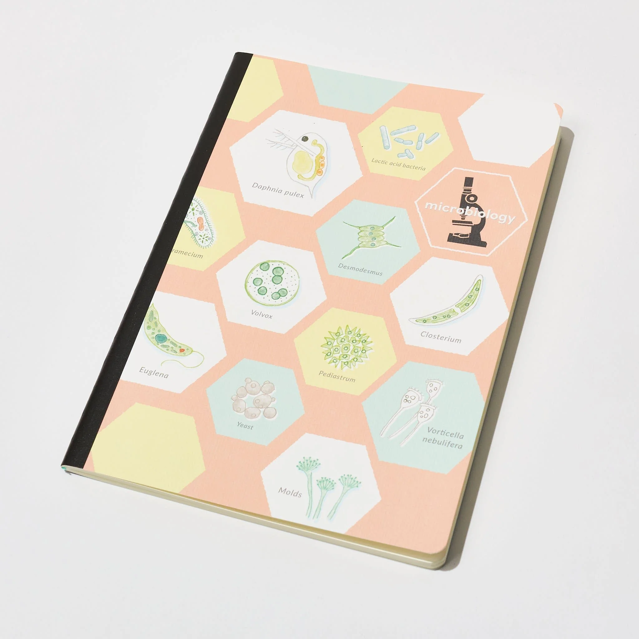 STUDY HOLIC A5 Notebook / GreenFlash - Image 8