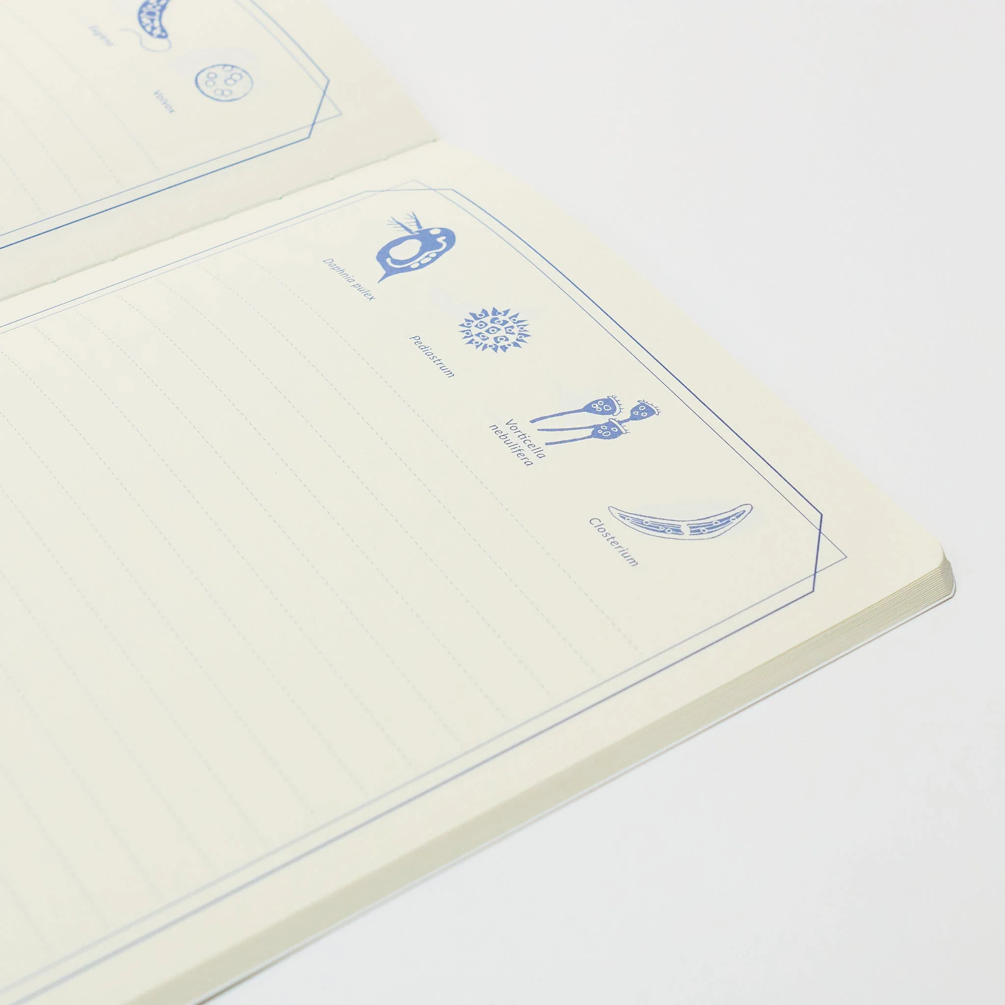 STUDY HOLIC A5 Notebook / GreenFlash - Image 13