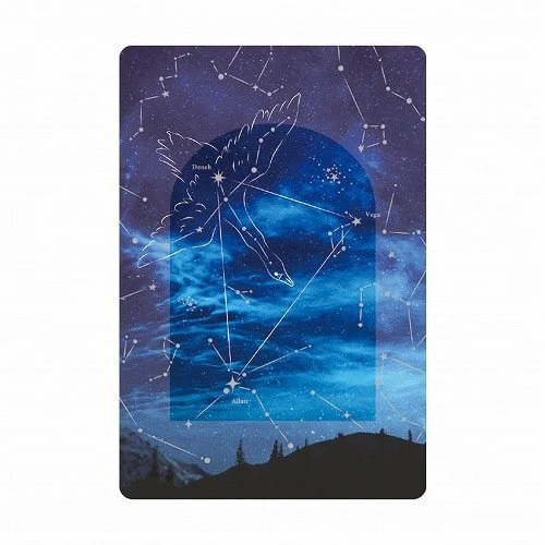 Multi-Purpose Transparent Card / RYU-RYU - Image 7