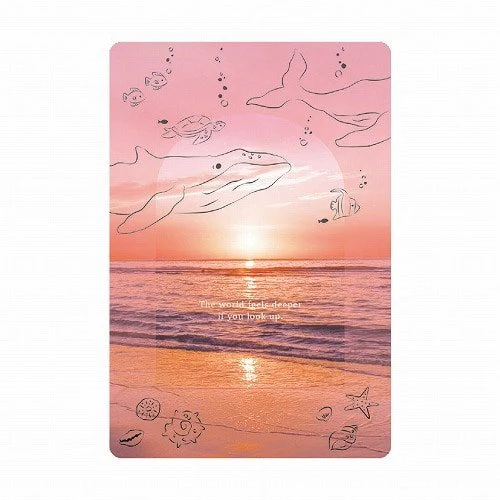 Multi-Purpose Transparent Card / RYU-RYU - Image 8