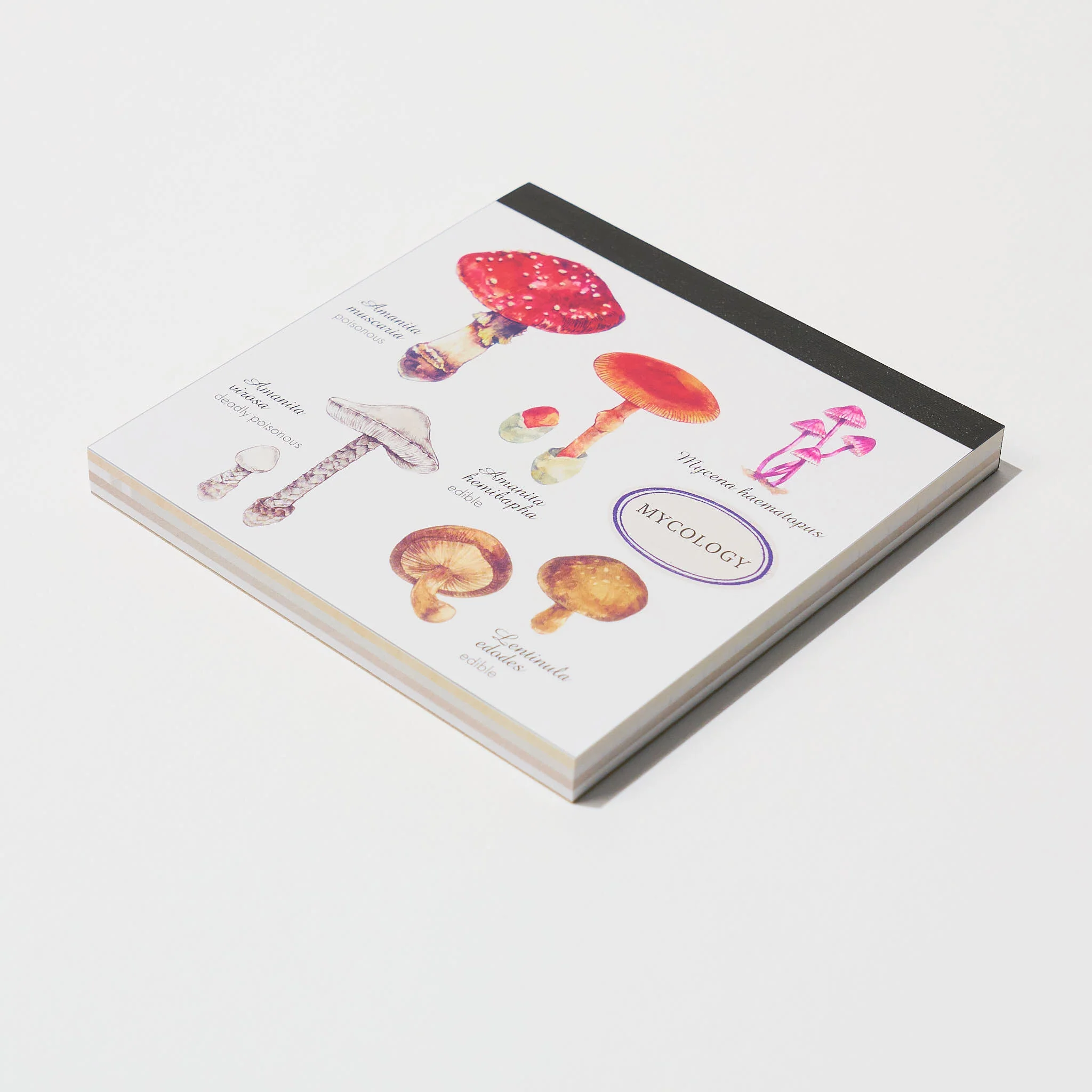 Mycology STUDY HOLIC Bundle / GreenFlash - Image 3