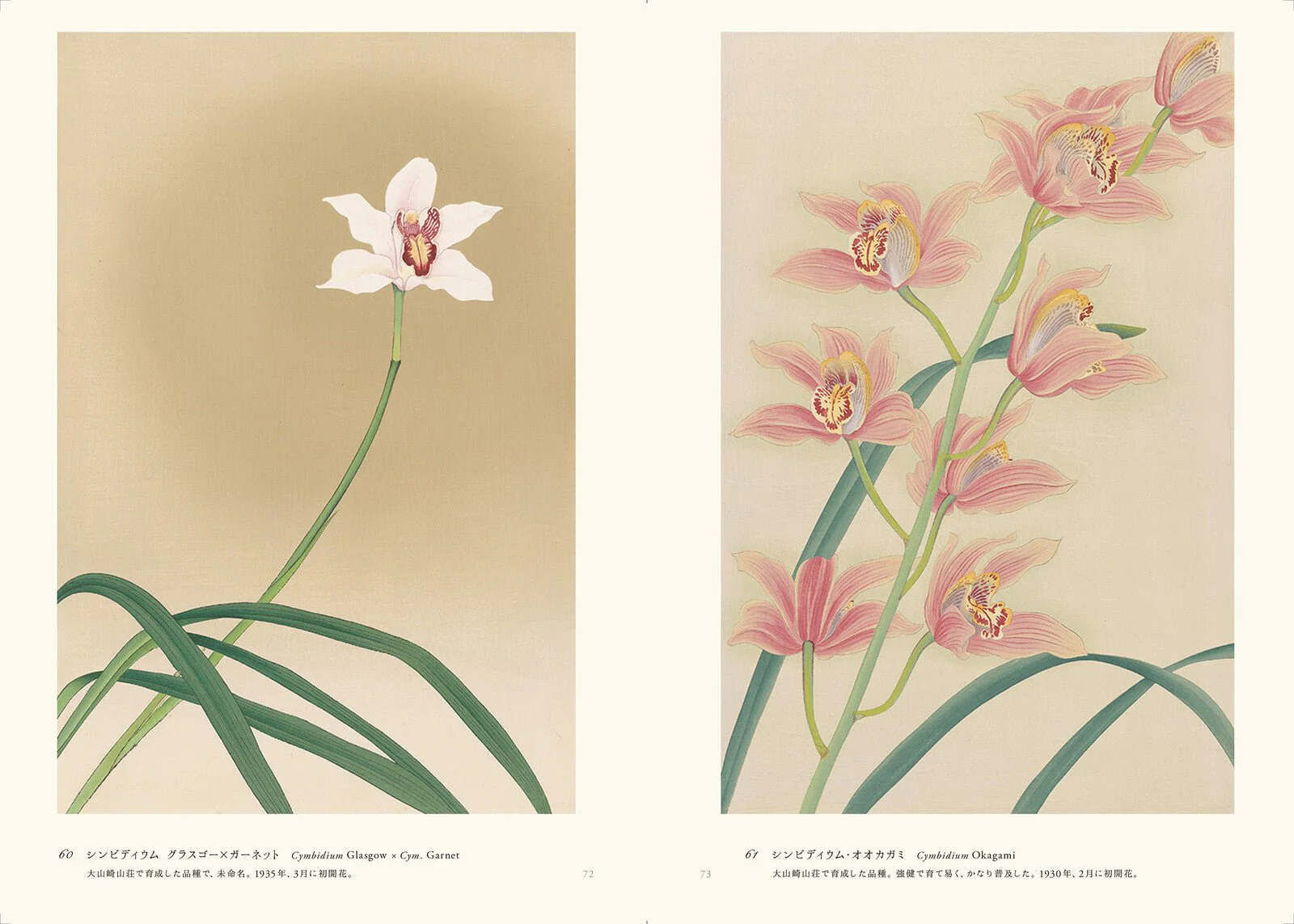 Rankafu: Japanese Woodblock Prints of Orchids / Seigensha - Image 6