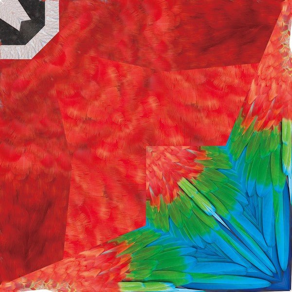 Tropical Bird Origami Sets / Marumo Printing - Image 11